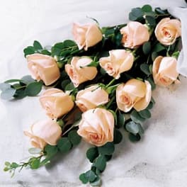Dozen roses Wrap bouquet