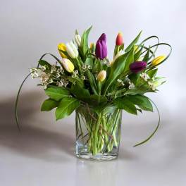 Mixed tulip bouquet in a clear glass vase with white filler flowers