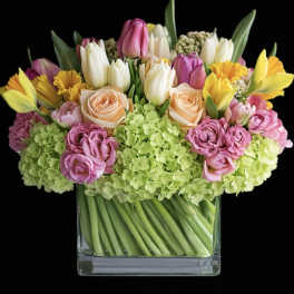 Mixed bouquet of tulips, roses, and hydrangeas in a clear glass vase