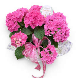 Hydrangea Centerprice Bowl