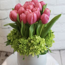 Pink tulips arranged in a white vase with green hydrangeas