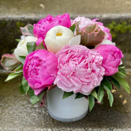 Pink and white peonies arranged in a white vase