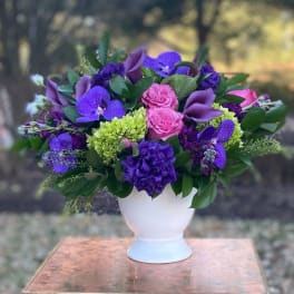 Purple Kabloom