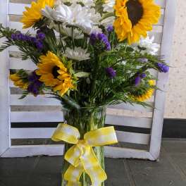 Sunshine on Daisies