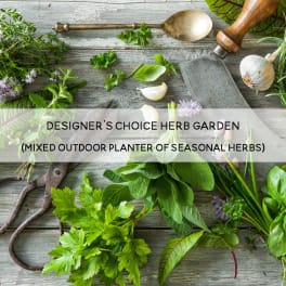 Designer's Choice Herb Garden