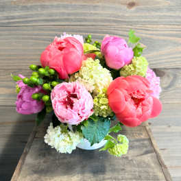 Peony Passion