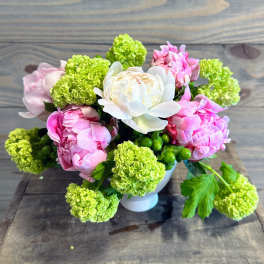 Petite Peonies