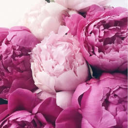 Wrapped bouquet of seasonal peonies.