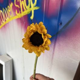 Single yellow sunflower held by hand