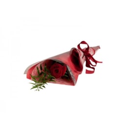 Single red rose wrapped in red paper with a ribbon