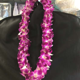 Orchid Leis