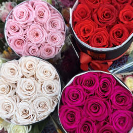 Four round boxes of roses in pink, red, white, and magenta.