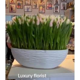 Large white bowl filled with pale tulips