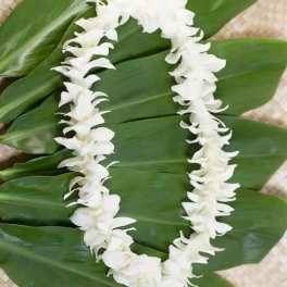 White flower lei on large green leaves