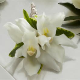 White orchid corsage with green accents on a white ribbon