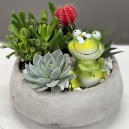 Hoppy as can Bee