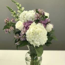Lavender Light