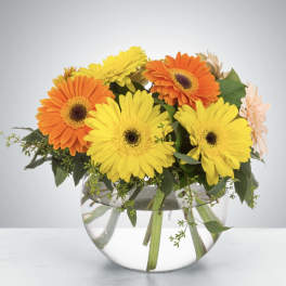 Dazzling Daisy Bowl