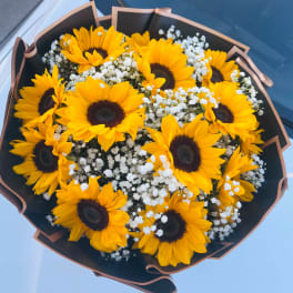 Sunflower Shine