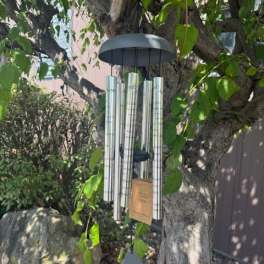 Wind chime hanging from a tree branch outdoors