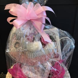 Baby Girl Buggy Basket
