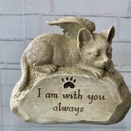 Sleeping angel cat figurine with the words "I am with you always"