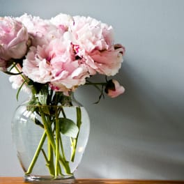 Pink peonies in a clear glass vase