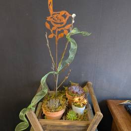 Succulent Garden Box