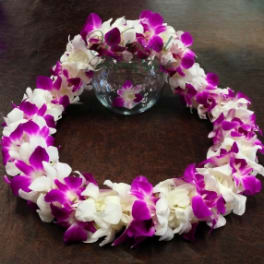 Double Graduation Orchid Lei / Purple & White