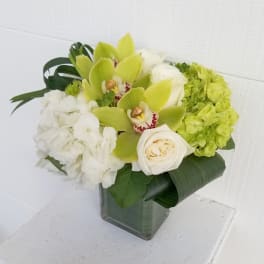 Orchid cube