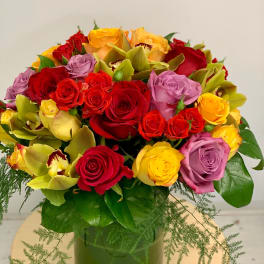 Bright Abundance by BloomNation™
