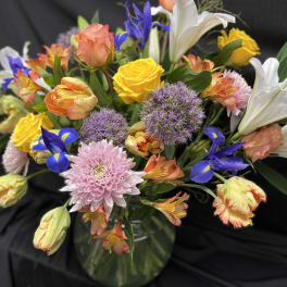 Spring Blooms