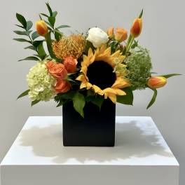 Summer Radiance