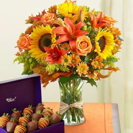 Fields of Europe for Fall with Strawberries