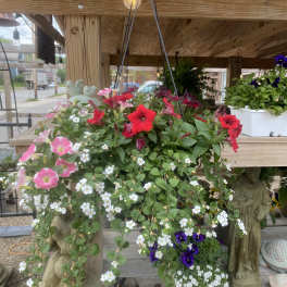 Black hanging Basket
