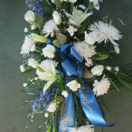Blue and White Spray