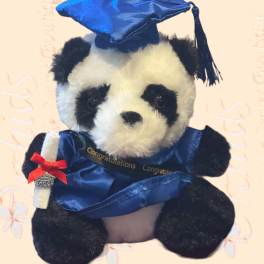 Graduation 6"H Plush Panda Bear Gift Class of 2024