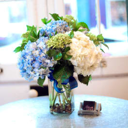 Nothing But Hydrangeas