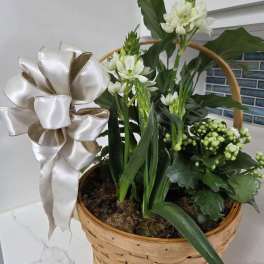 Multi Plant Basket