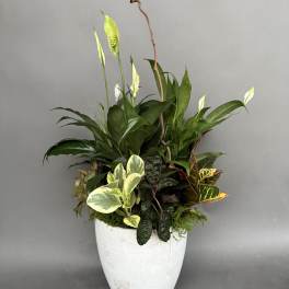 Plant garden.