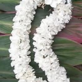 White floral lei on a green leaf background