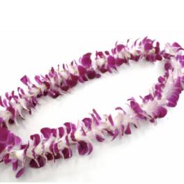 Purple and white orchid lei on a white background