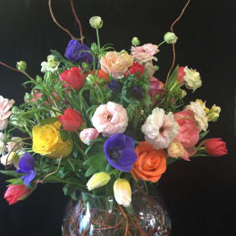 soft spring blooms