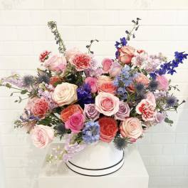 The Marie Antoinette