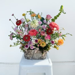 Garden in Bloom (Designer's Choice)