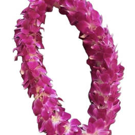 Lei - Double Purple