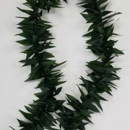 Long dark green leaf garland or lei with braided ends on a white background