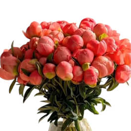 Blushing Coral Peony Bouquet