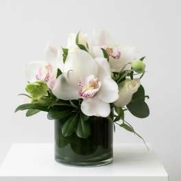 Orchids and roses