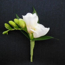 White flower boutonniere with green buds on a dark background